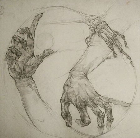 Кисть руки арт