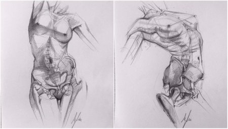 Зарисовки тела