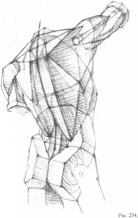 Мышцы торса Баммес