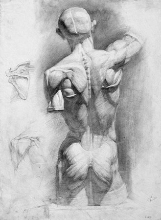 Баммес Экорше Гудона