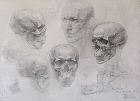 Череп Академия художеств Репина