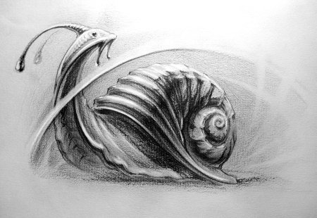 Улитка Графика