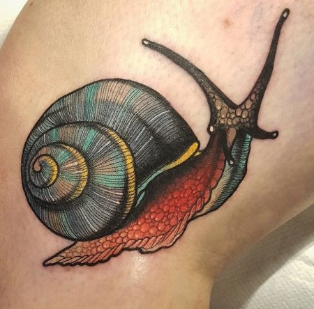 Тату улитка
