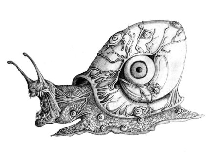 Улитка набросок