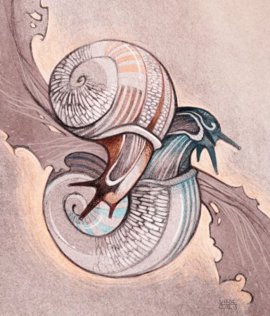 Улитка арты