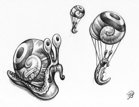 Улитка рисунок тату