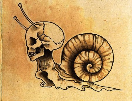 Тату улитка с черепом