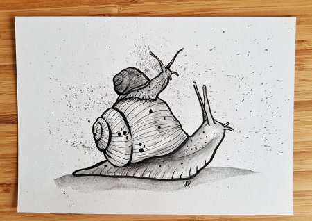 Животные эскиз улитки