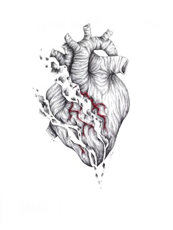 Анатомическое сердце тату