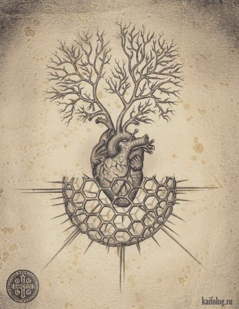 Картины Daniel Martin Diaz