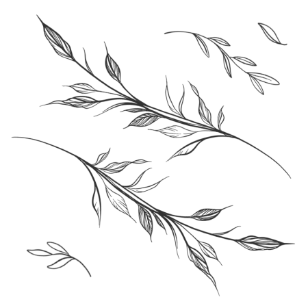Ветвь эскиз