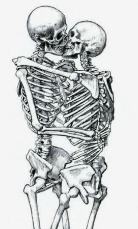 Тату анатомия эскизы