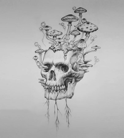 Скелет человека