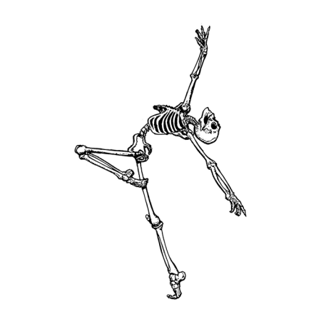 Ребра с цветами