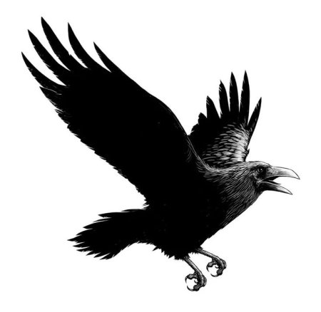 Ворон в полете эскиз