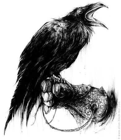 Тату ворон