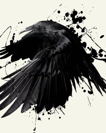 Трэш полька ворон эскиз