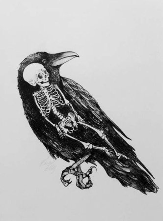 Ворон на черепе