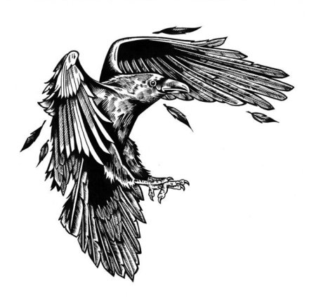 Кельтский ворон эскиз