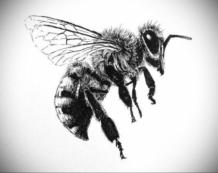 Рисунки пчела тату (50 фото)
