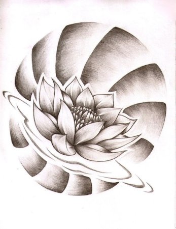 Лотос випшейдинг эскиз