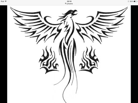 Тату эскизы трайбл Феникс
