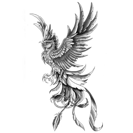 Феникс тату эскизы