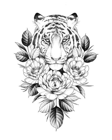 Тигр тату эскиз