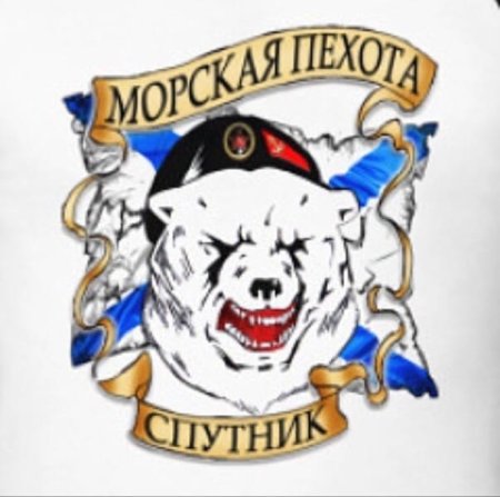 Эмблема морской пехоты Северного флота белый медведь