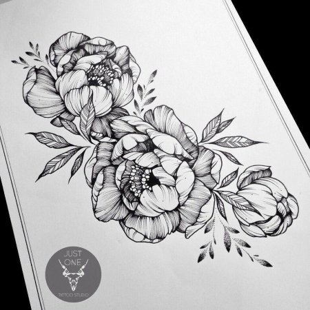 Пионы linework