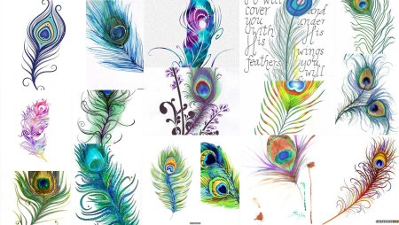 Тату перо павлина