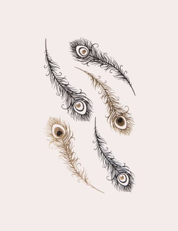 Тату перо павлина эскиз