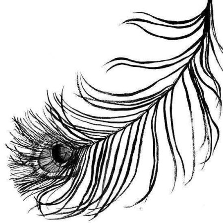 Перья Жар-птицы