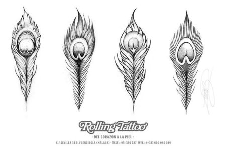 Перо павлина эскиз