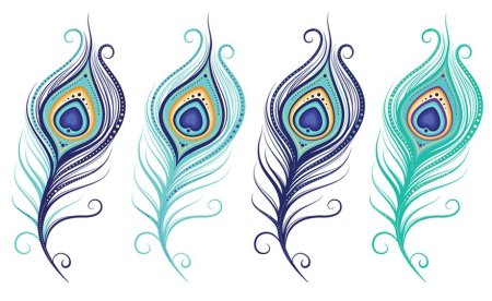 Тату перо павлина эскиз