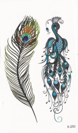 Тату перо павлина эскиз