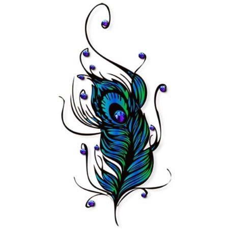 Перо павлина вектор