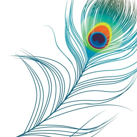 Жар птица Графика