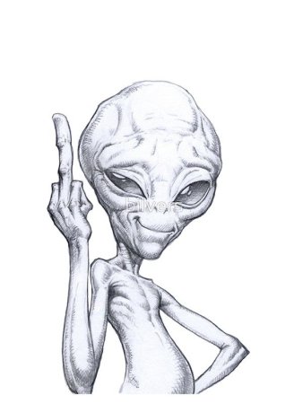 Пол секретный материальчик фак