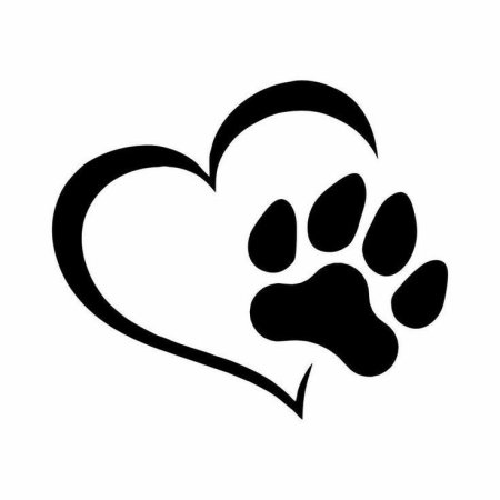 Эскиз лапки собаки