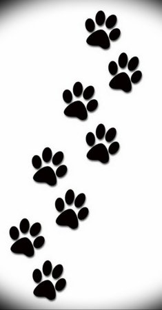 Лапки животных
