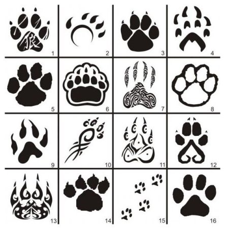 Следы животных