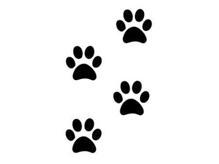 Тату лапки Минимализм