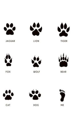 Тату лапки Минимализм