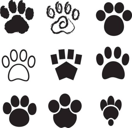 Тату кошачьи лапки эскиз