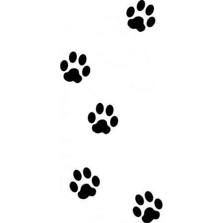 Эскиз лапки