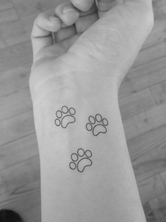 Тату кошачьи лапки эскиз