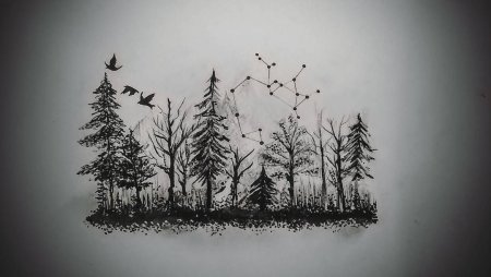 Тату лес эскиз