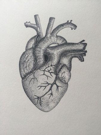 Сердце эскиз