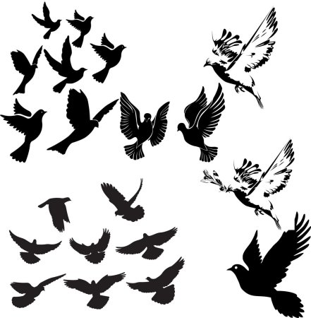 Птица эскиз